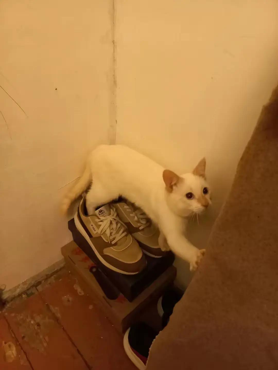 @Олег