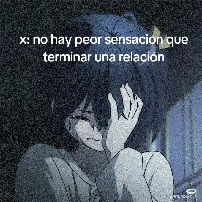 @Gabriel Palomino 17