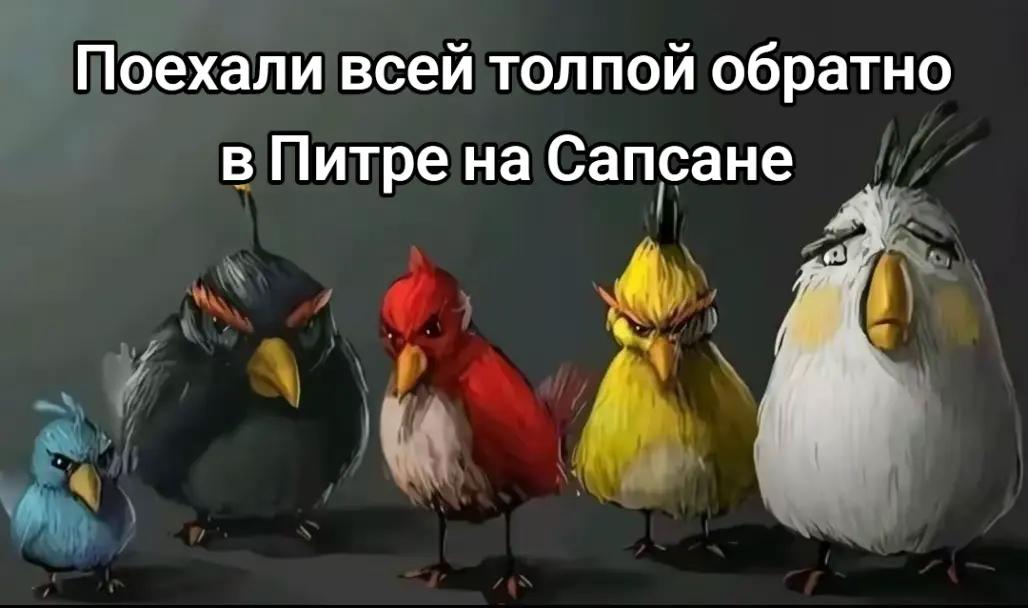 @🤍𝕊𝕒𝕡𝕤𝕒𝕟𝕠𝕧𝕒🤍
