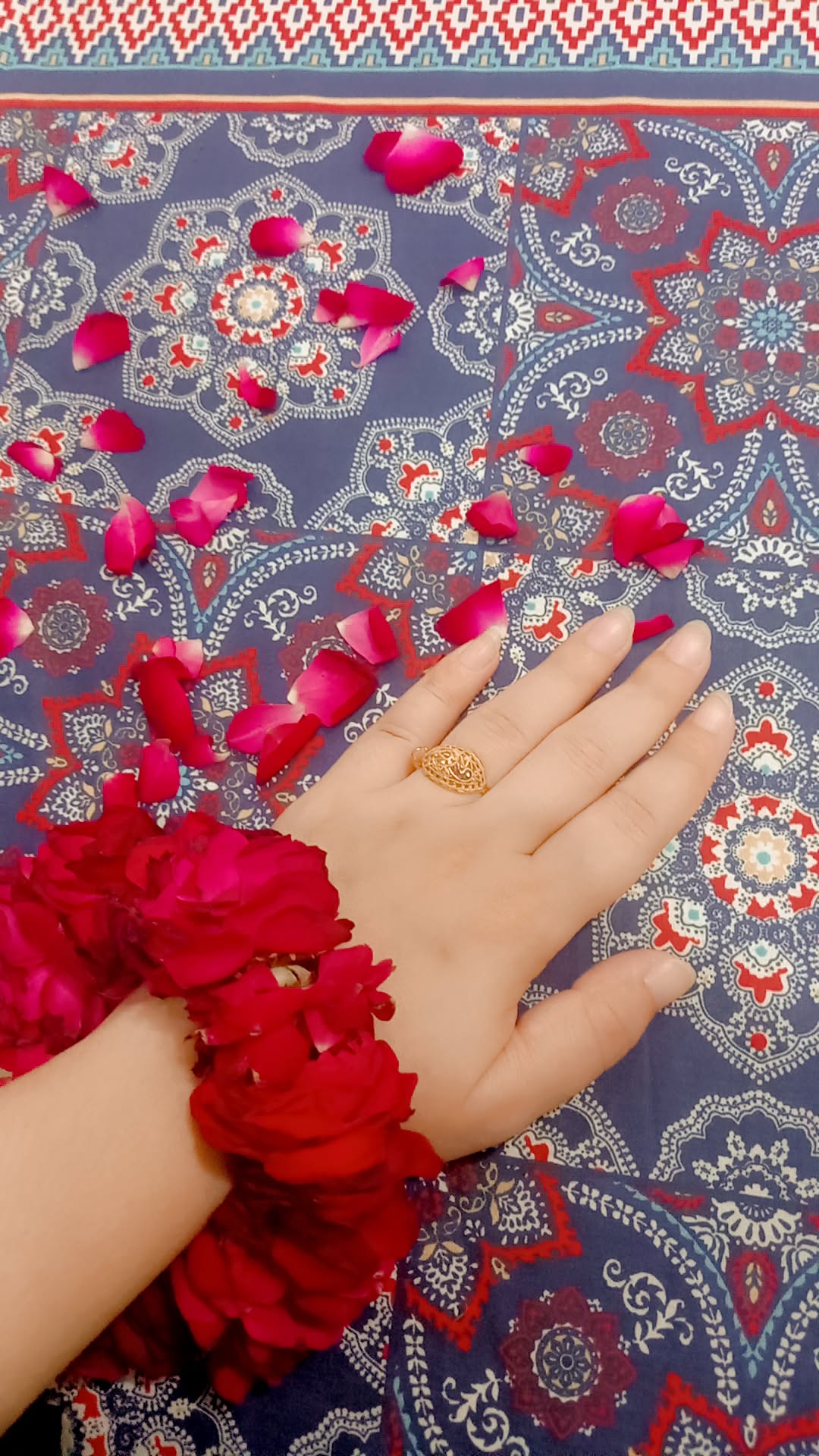 @sadia__zubair