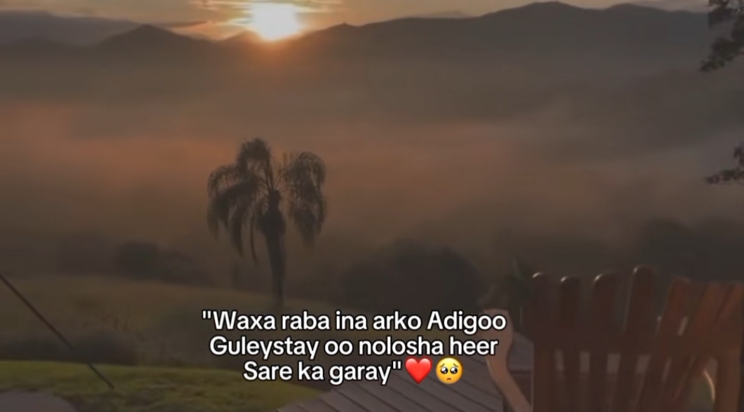 @😍F4RH44D🖤
