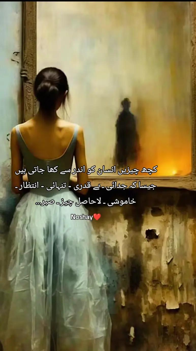 @Noshay❤