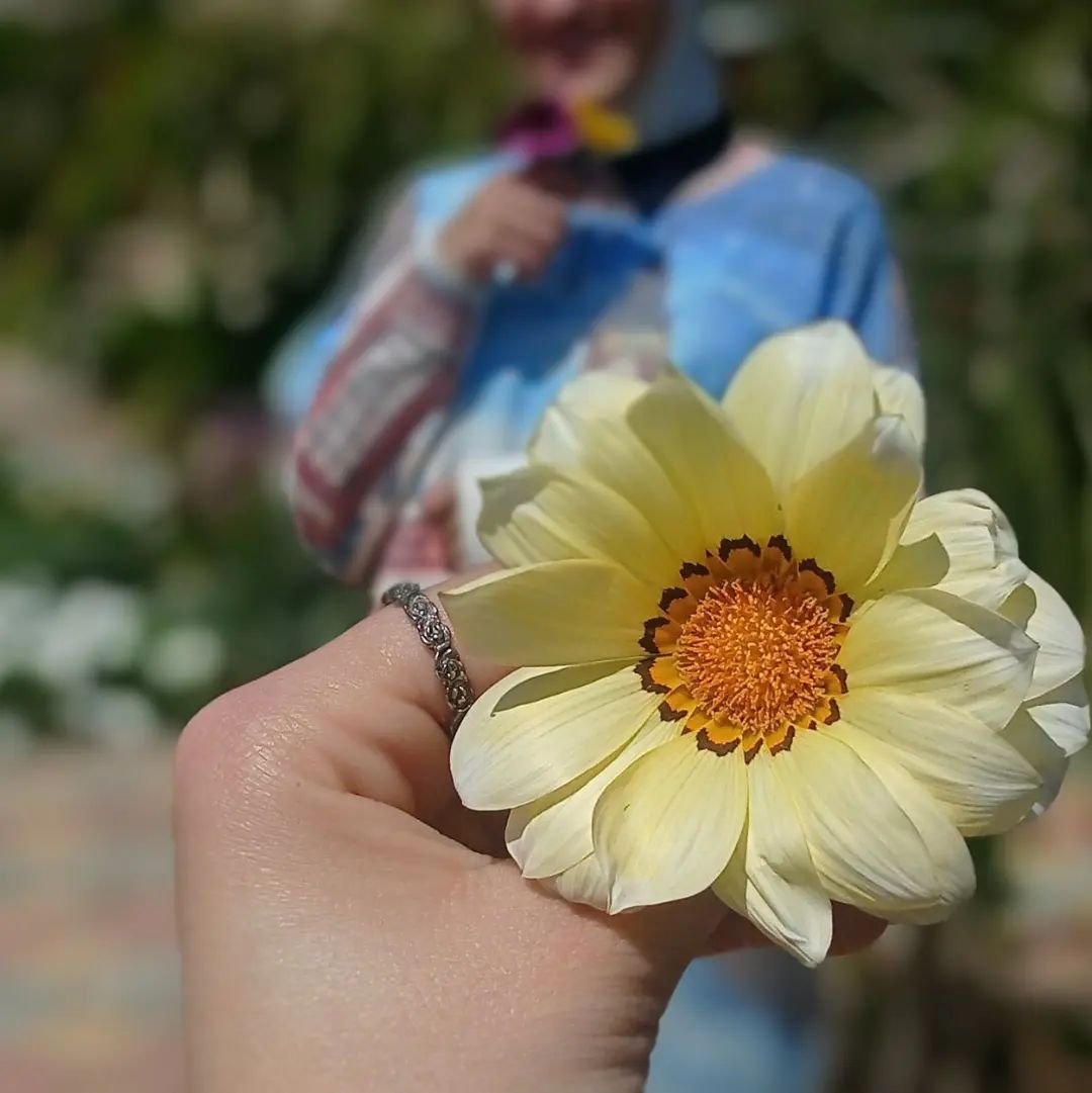 @roaa_amer