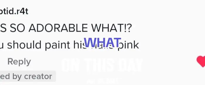 @Angel/Sapphire