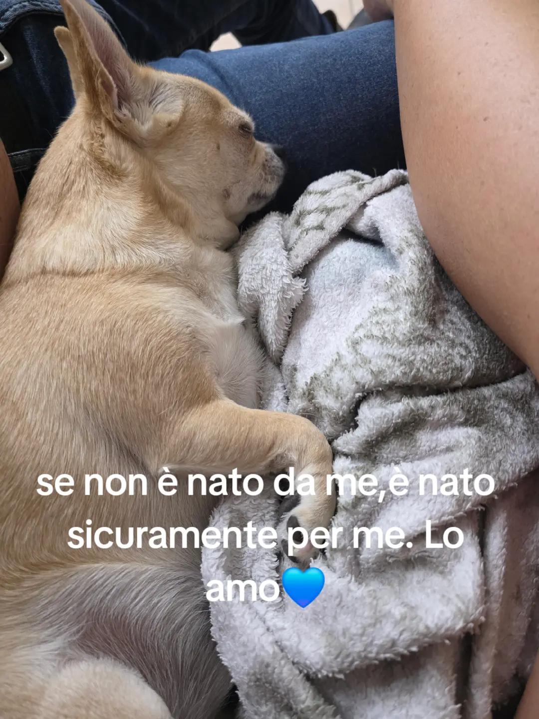 @lucia