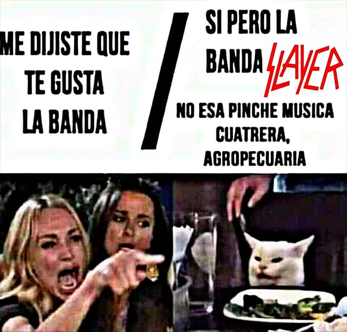 @Dark🏳️⚧️Carolina
