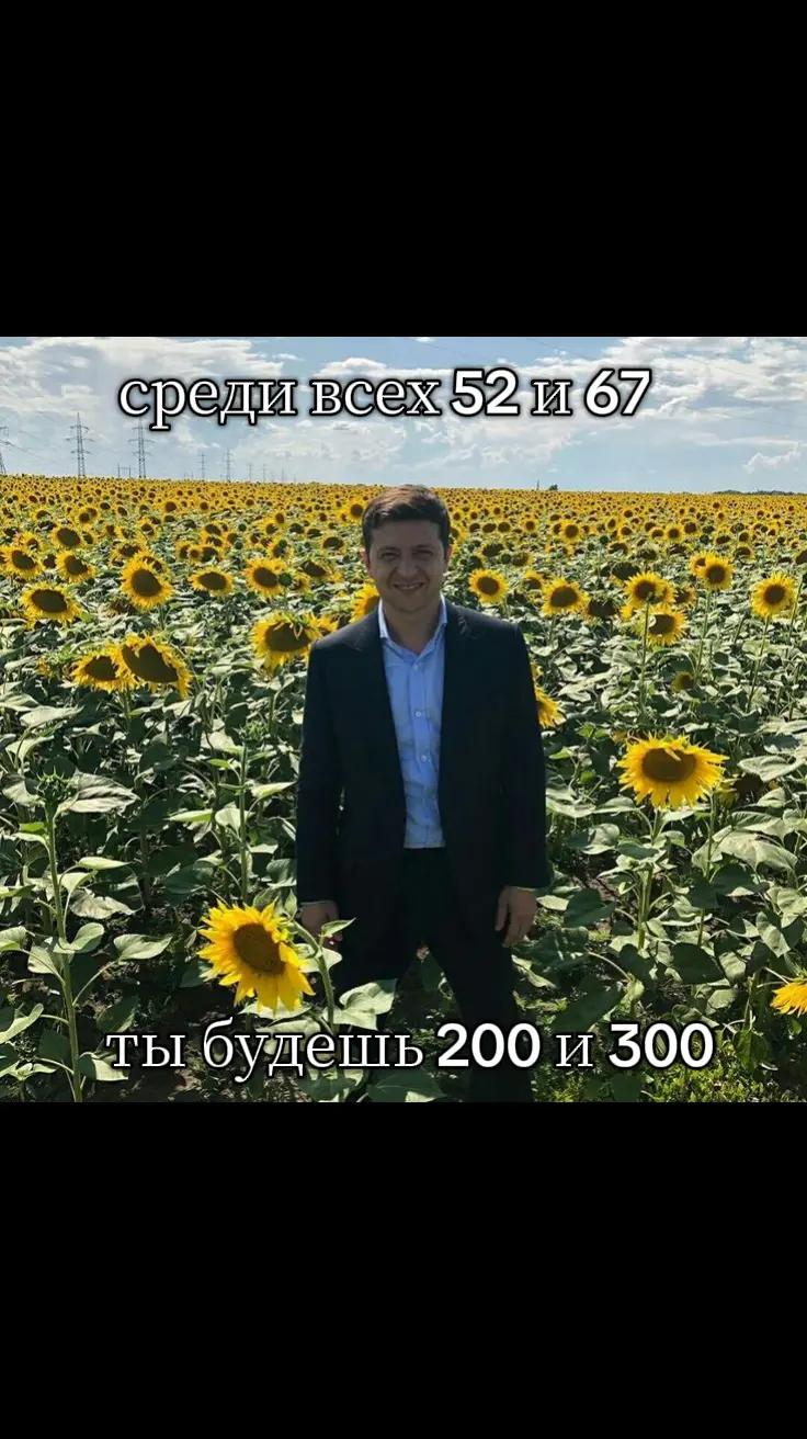 @morda