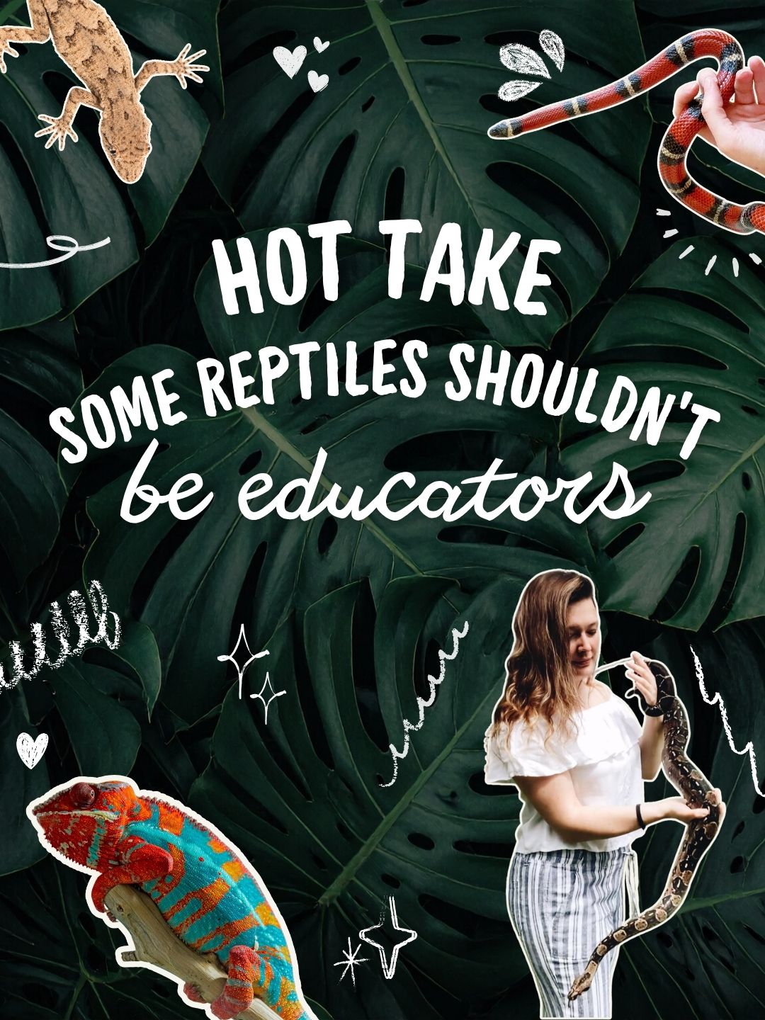 @ZA Reptiles