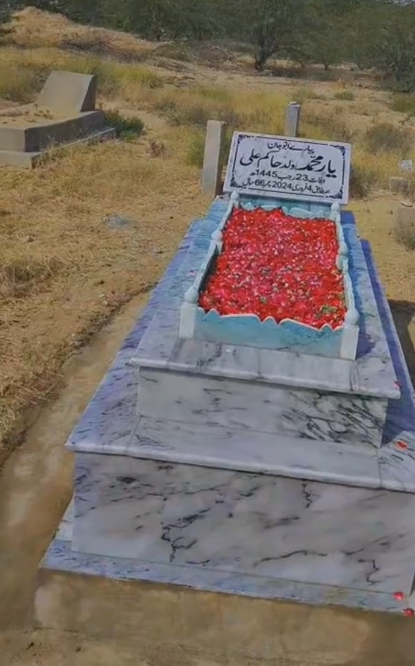 @zarnab fatima