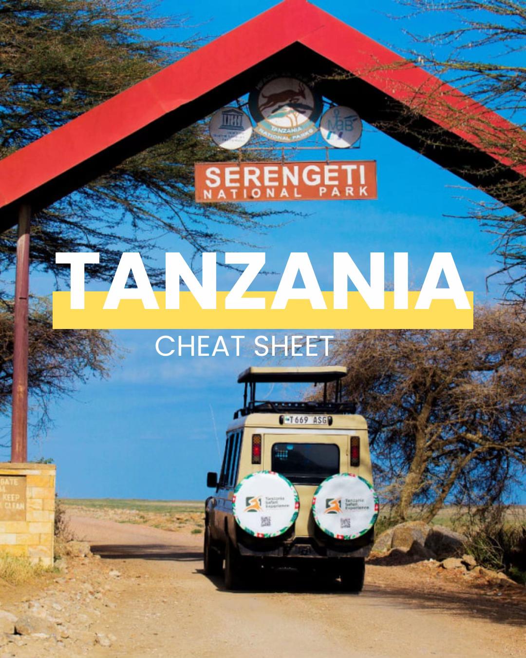 @Tanzania Safari Experience