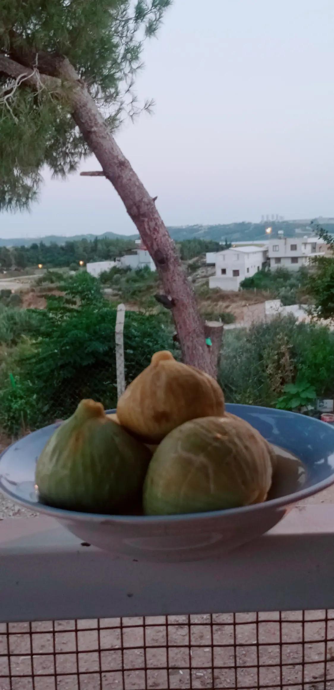 @hanım ağa