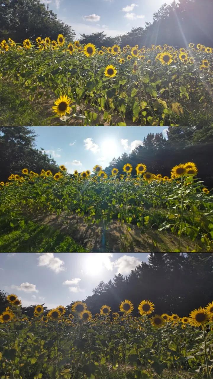 @神出鬼没