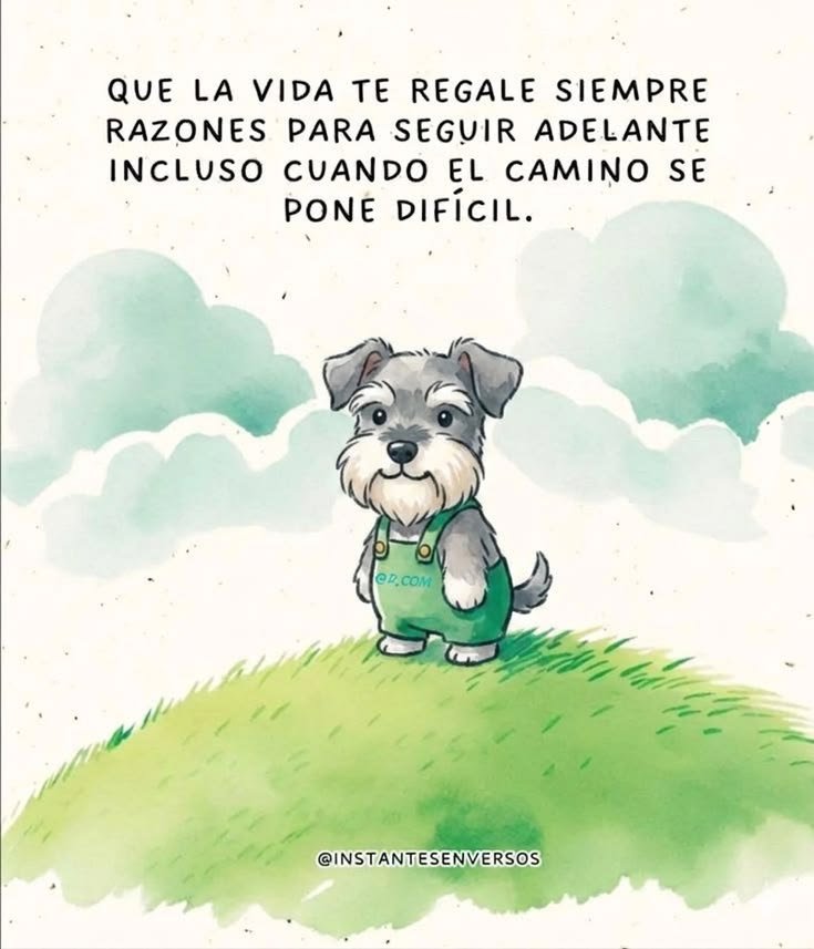 @Carlos Alberto
