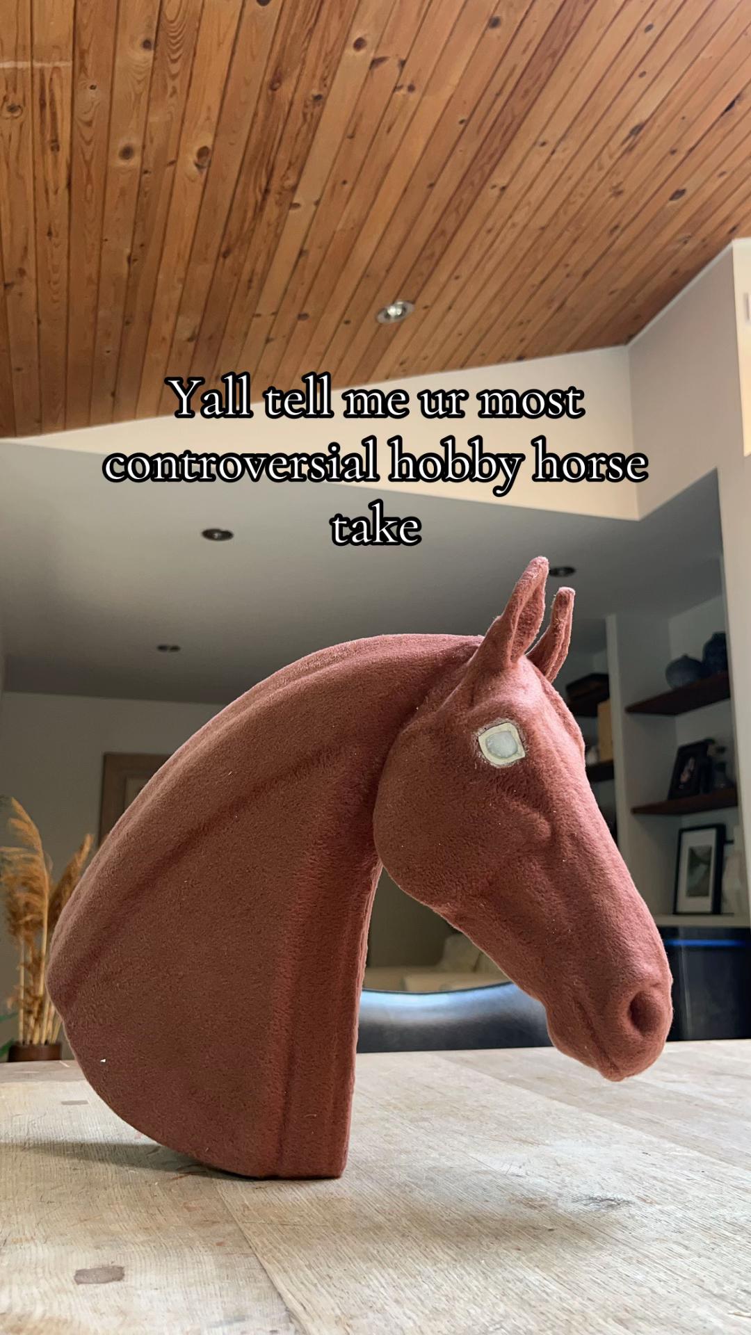 @zhobbyhorse