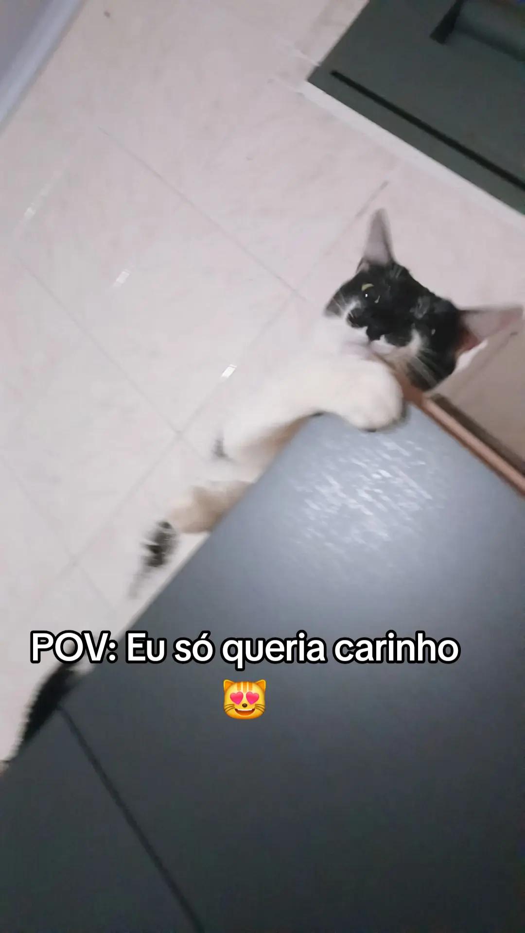 @Paula Alves