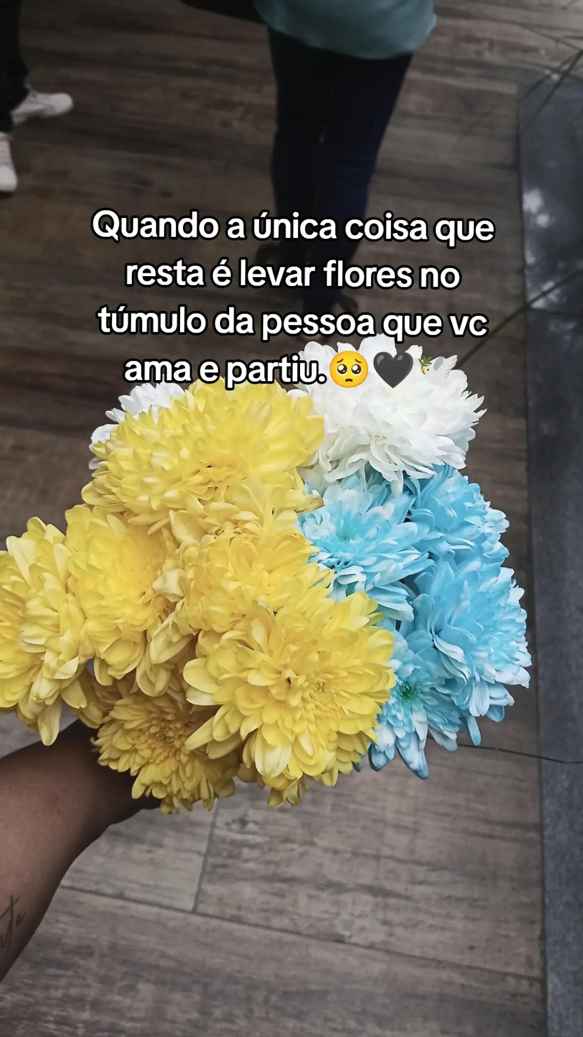 @Andressa Lima