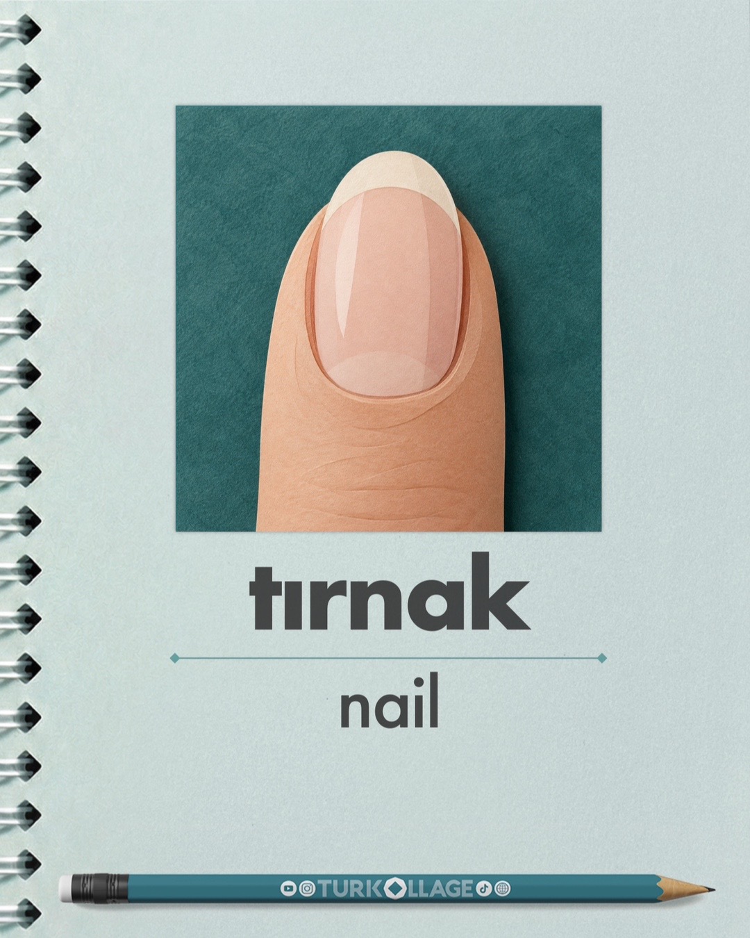 @turkollage