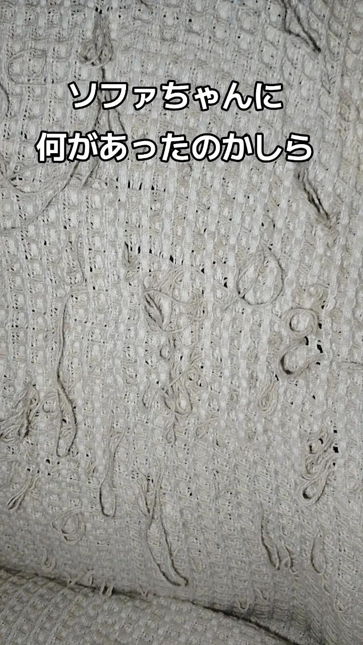 @ใใ๐๐ท๐ป/ใชใๅ
ๆจใ