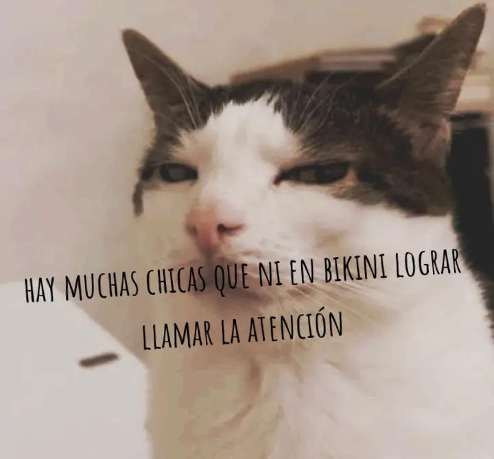 @Arios_of_K