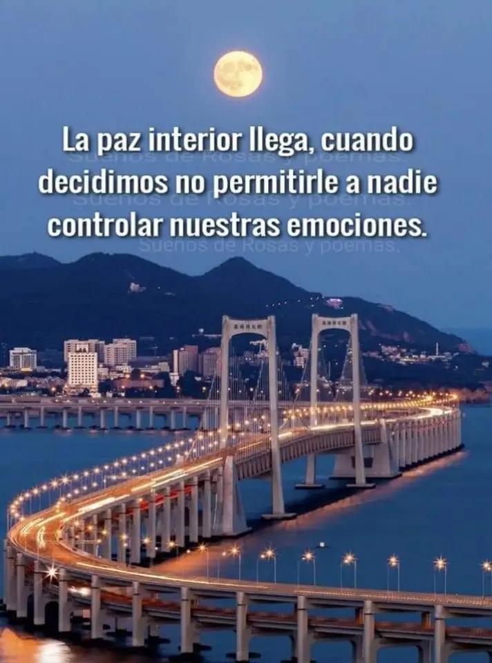 @Celene Fernandez