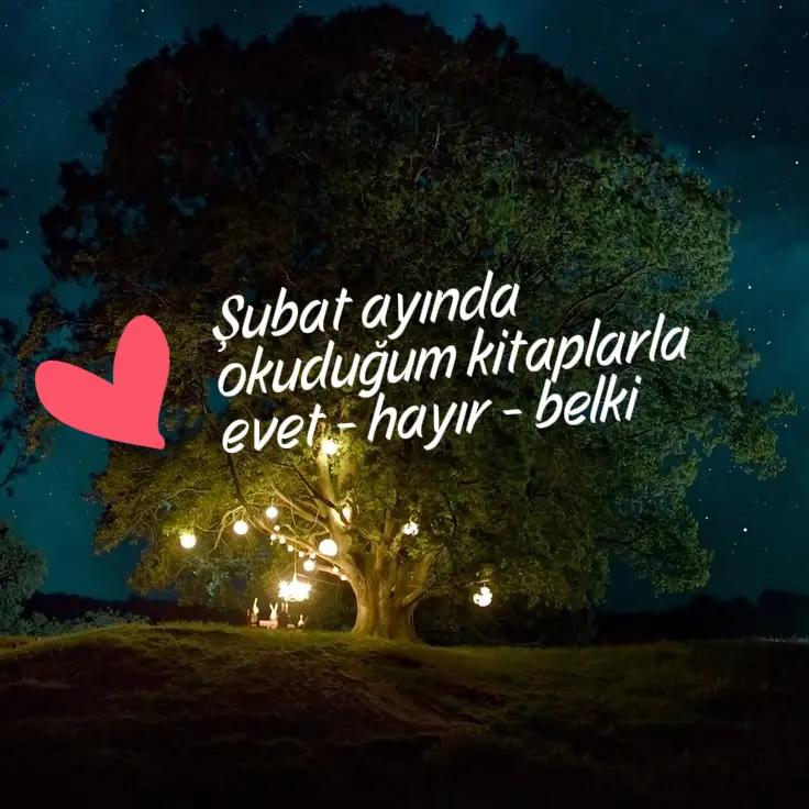 @Ebru