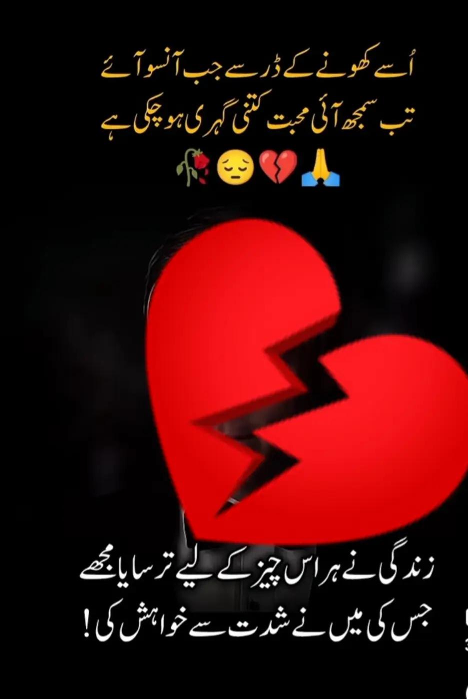 @Sahar Noor
