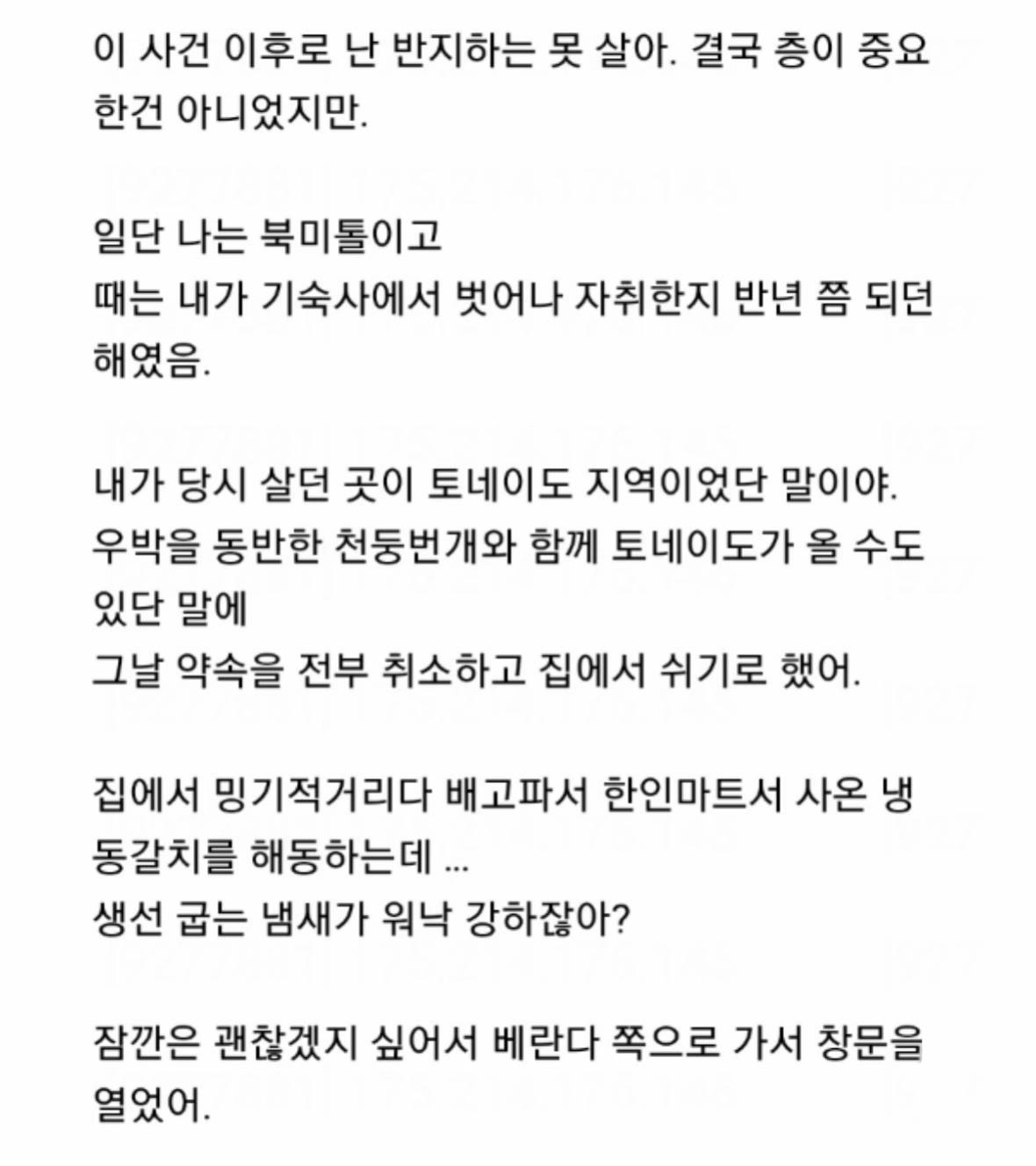@초코나무숲