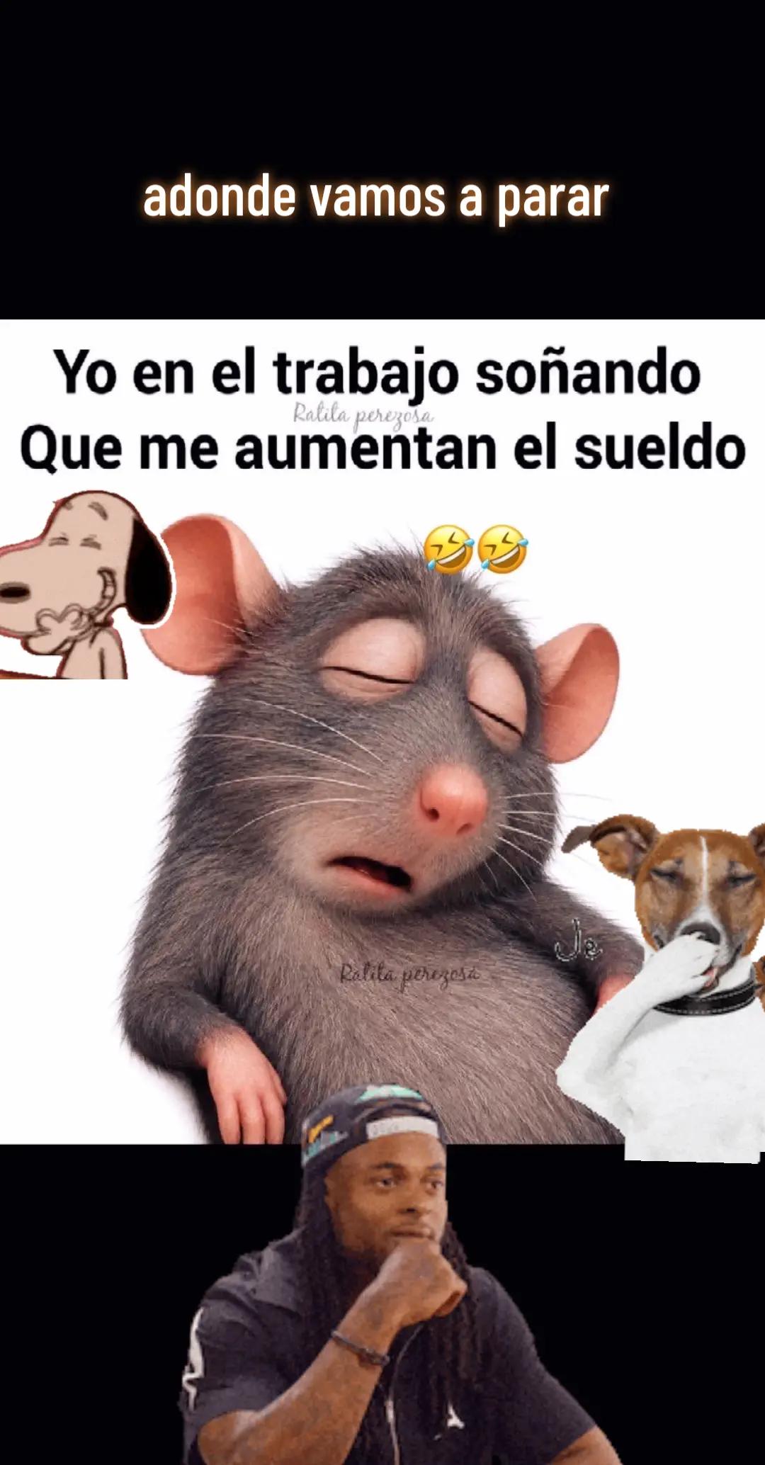 @⚔️🐓🐀EL.TERCO💙❤️💙