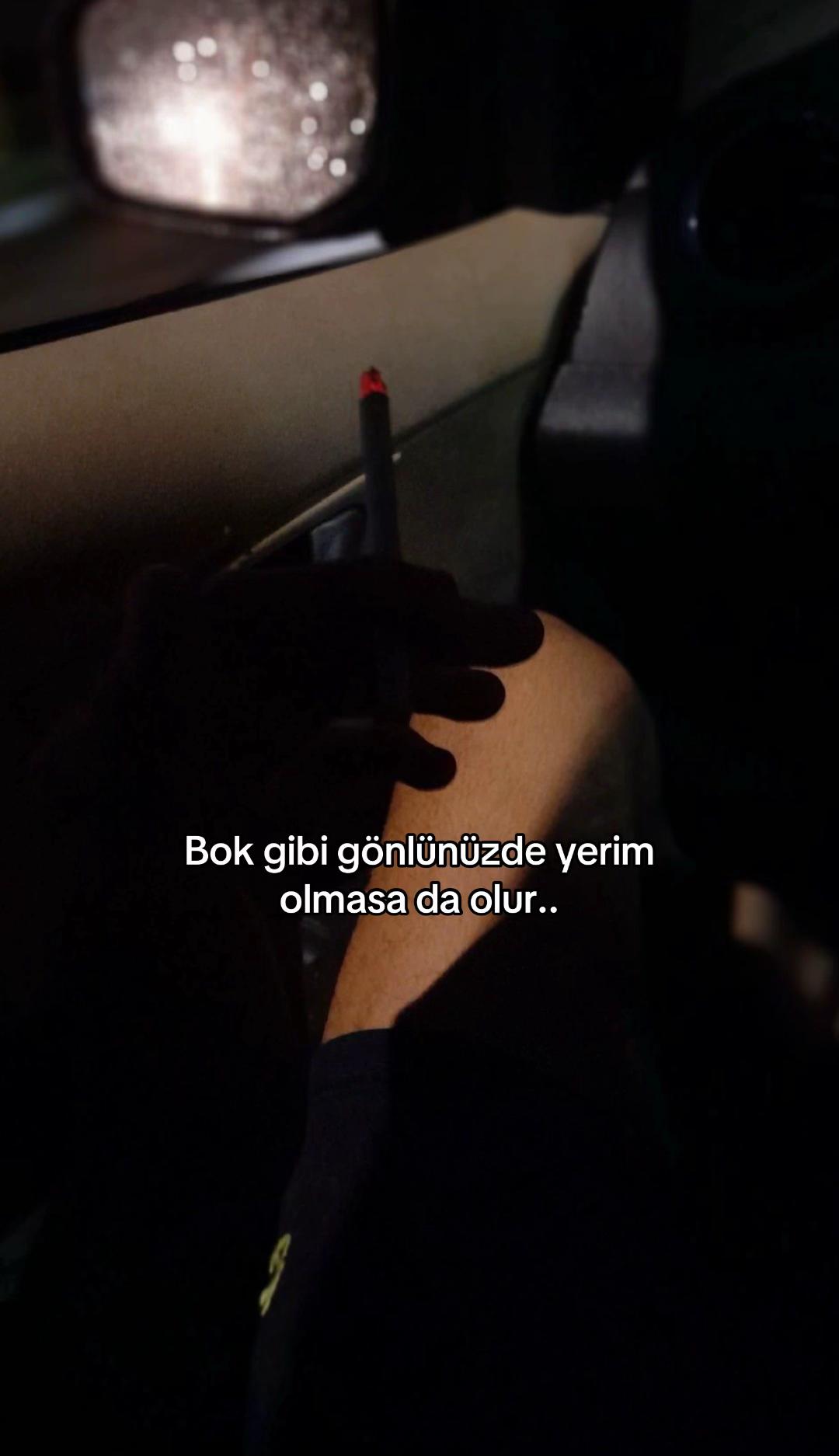 @seviyorgibiydin24