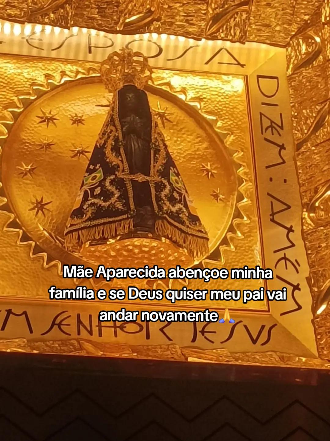 @ana julia
