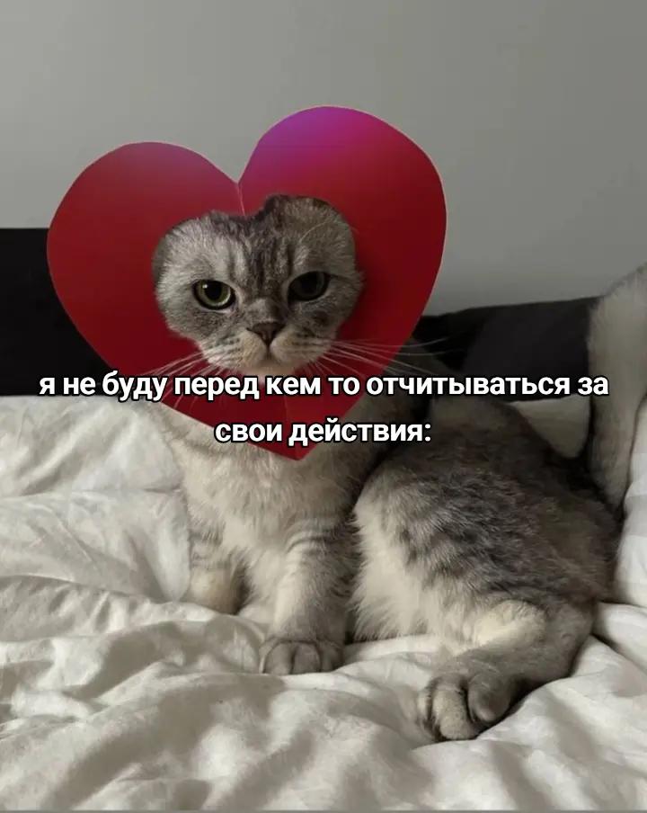 @polinasskkss