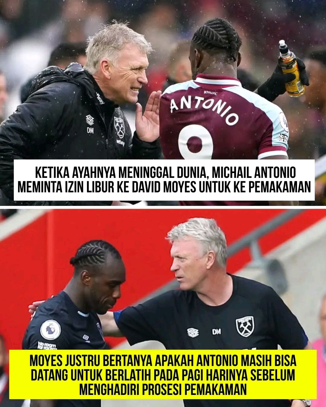 @fakta bola⚽