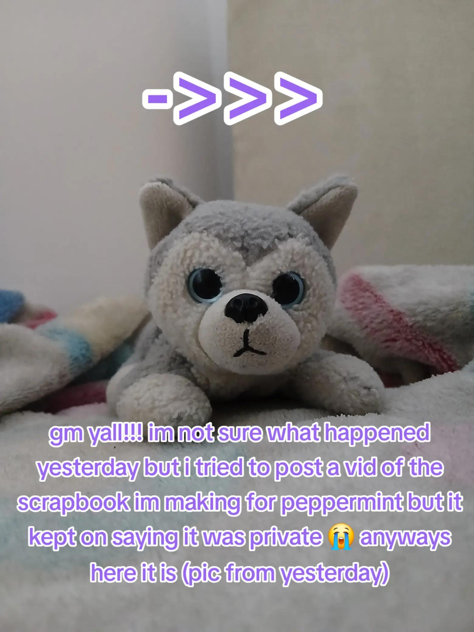 @Peppermint🐺🍥