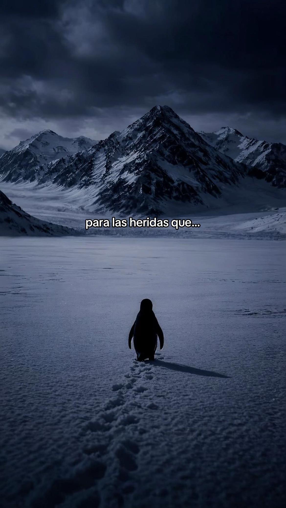 @Cora_:(