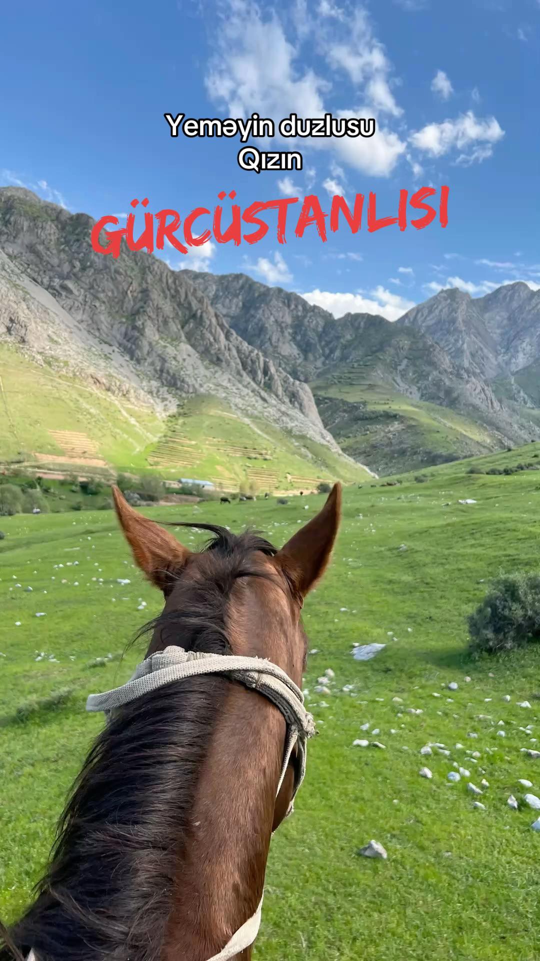@𝓢𝓲𝓶𝓪𝓷𝓸𝓿𝓪
