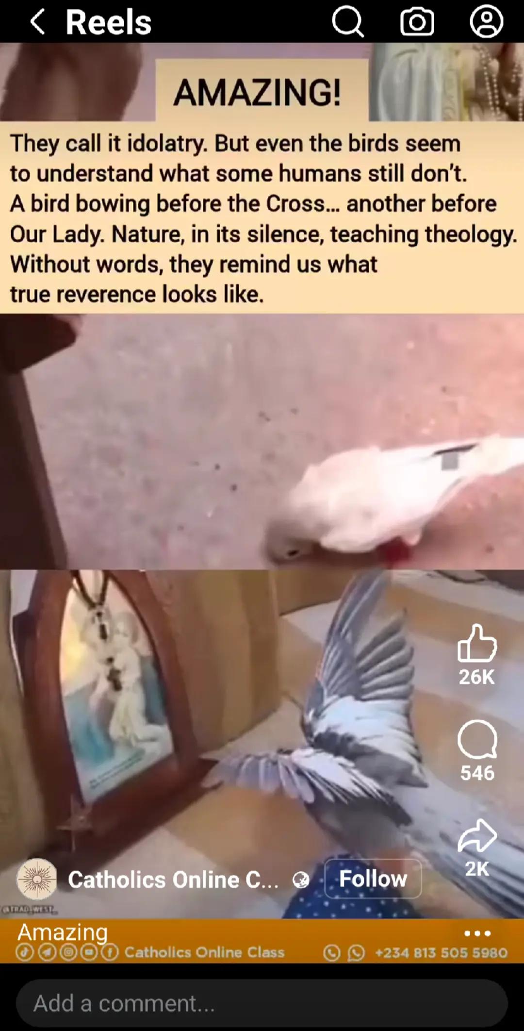 @Chetzy