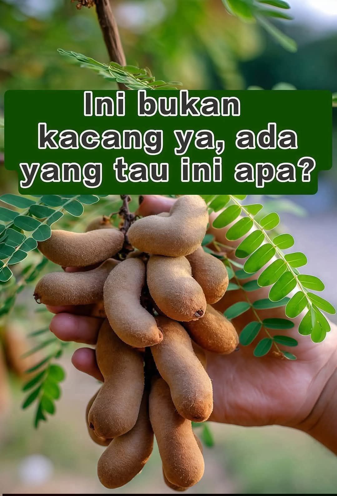 @Ahmadim