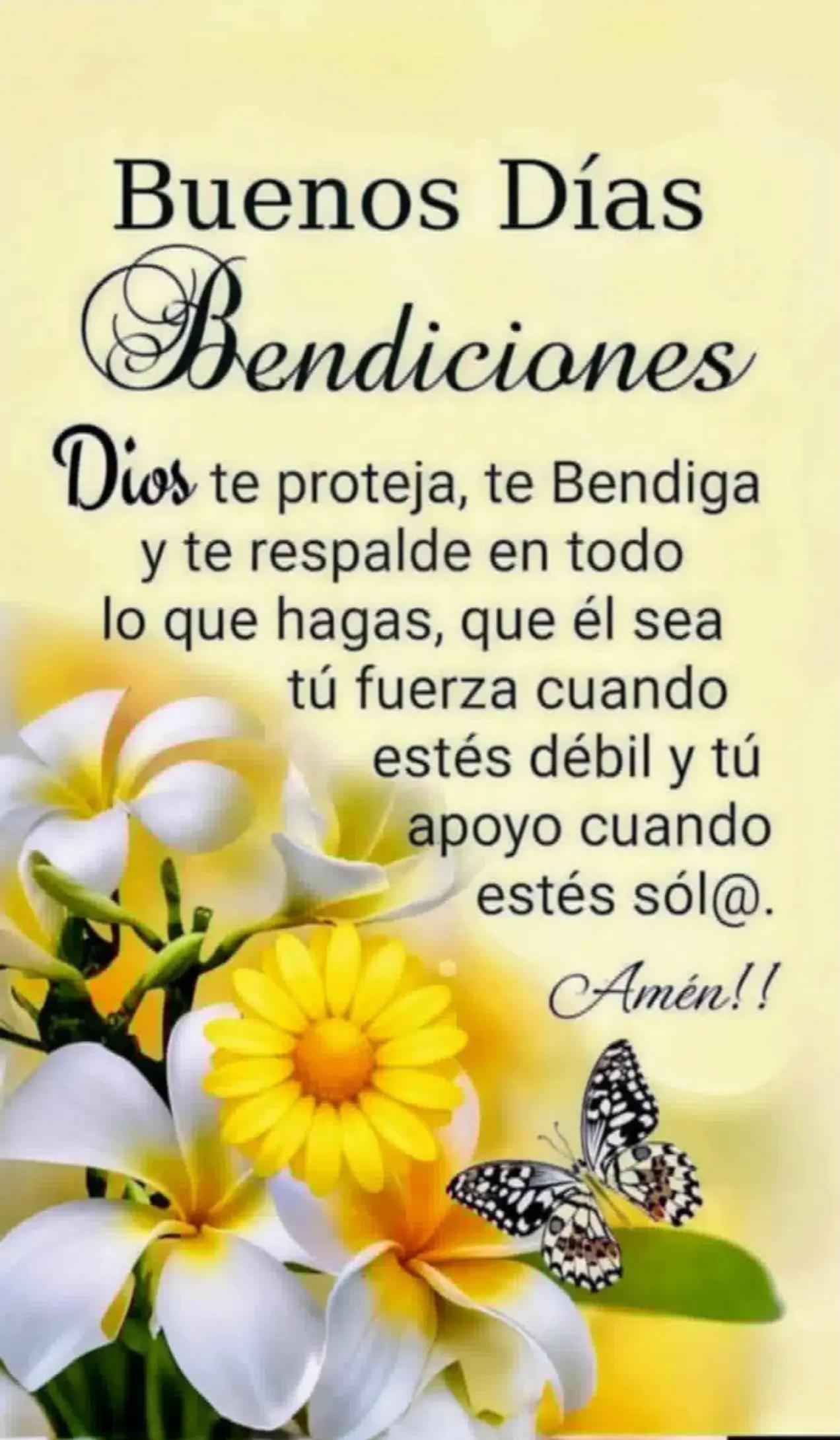 @Luisa albertina