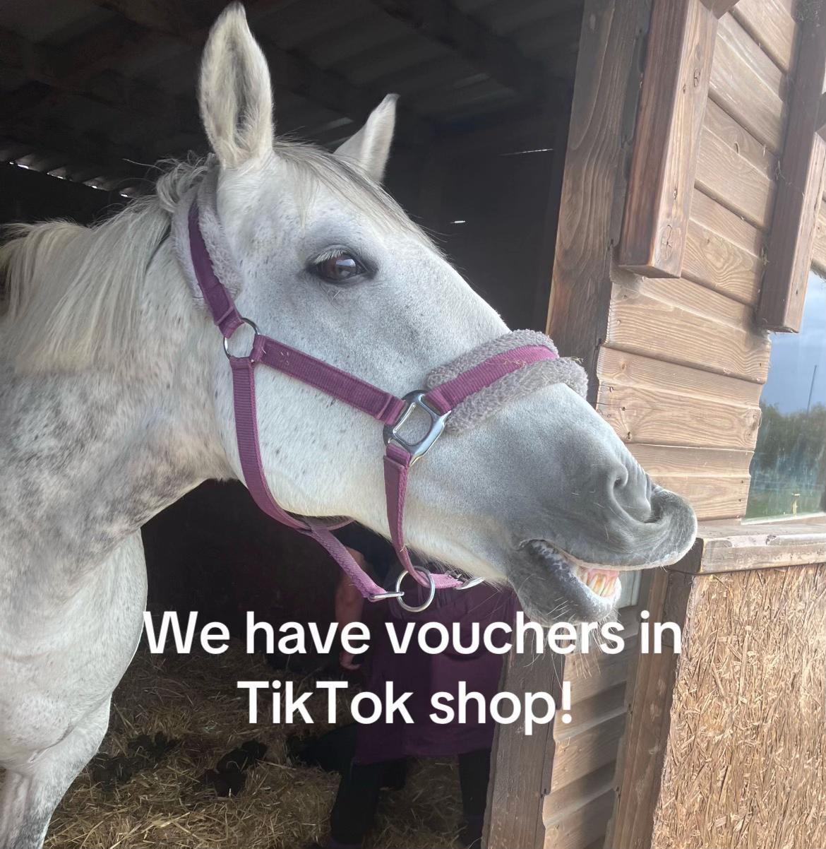 @Handmade By Horse-mania