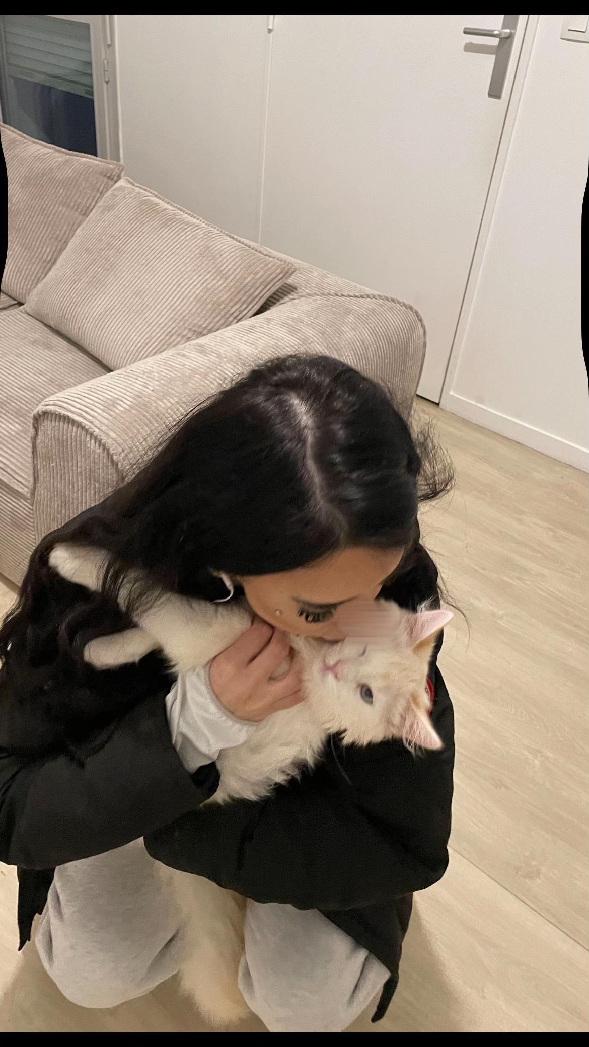 @Fjzllhu