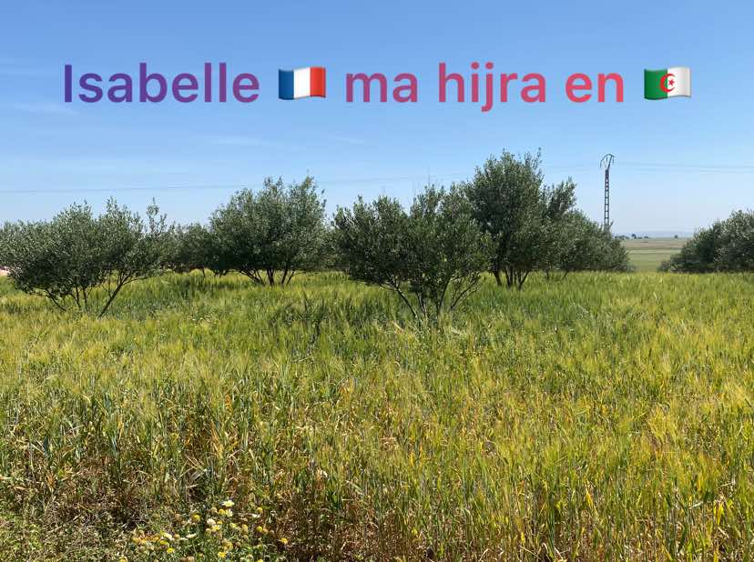 @Isabelle 🇫🇷 ma hijra en 🇩🇿