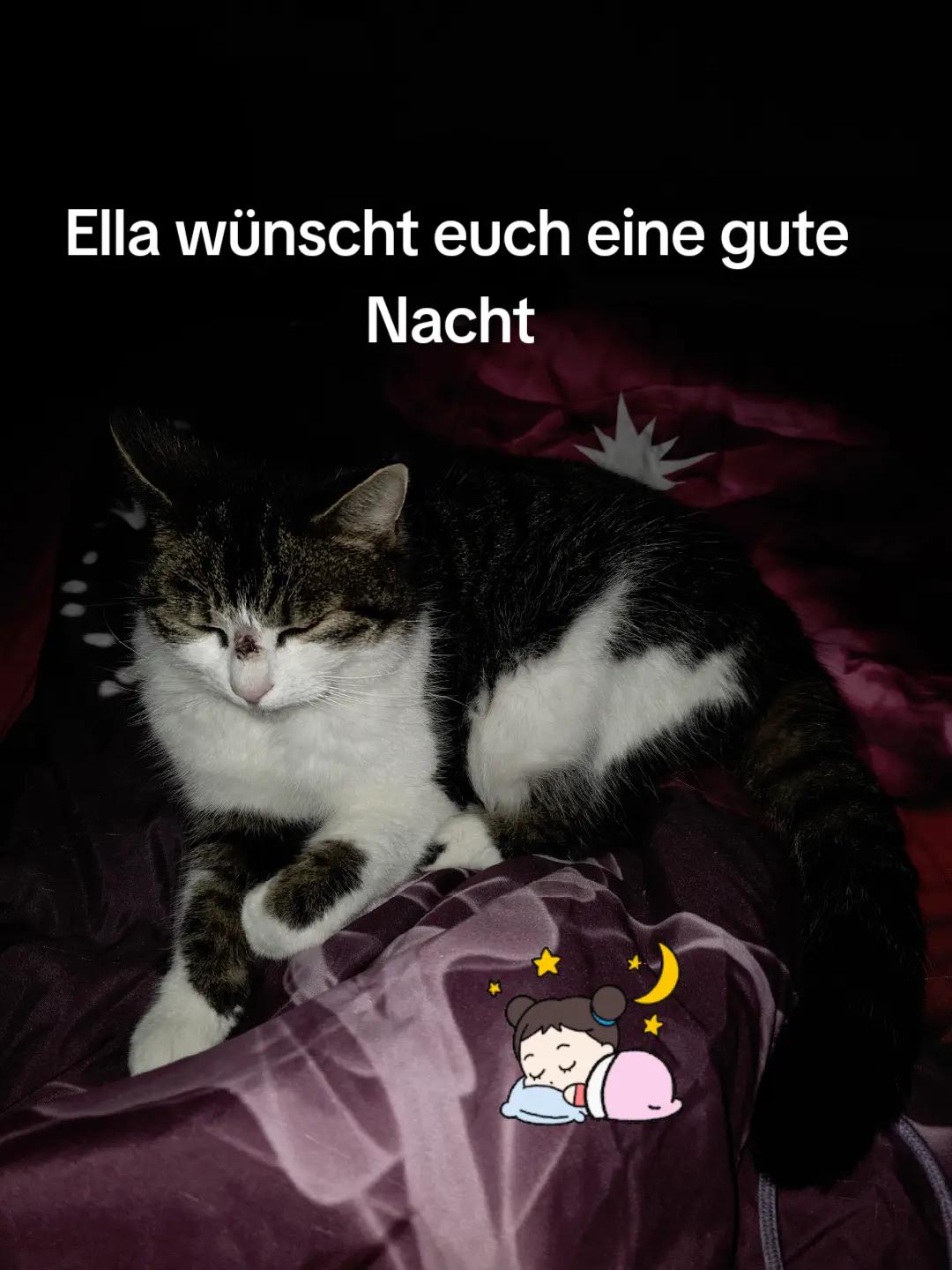 @Sarah Schumacher