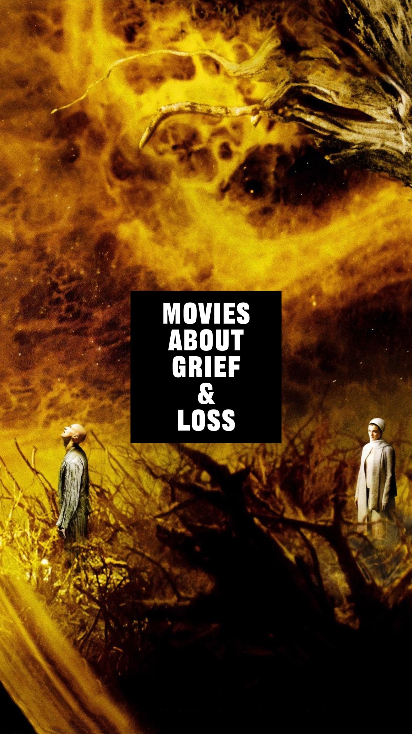 @movie & tv recs