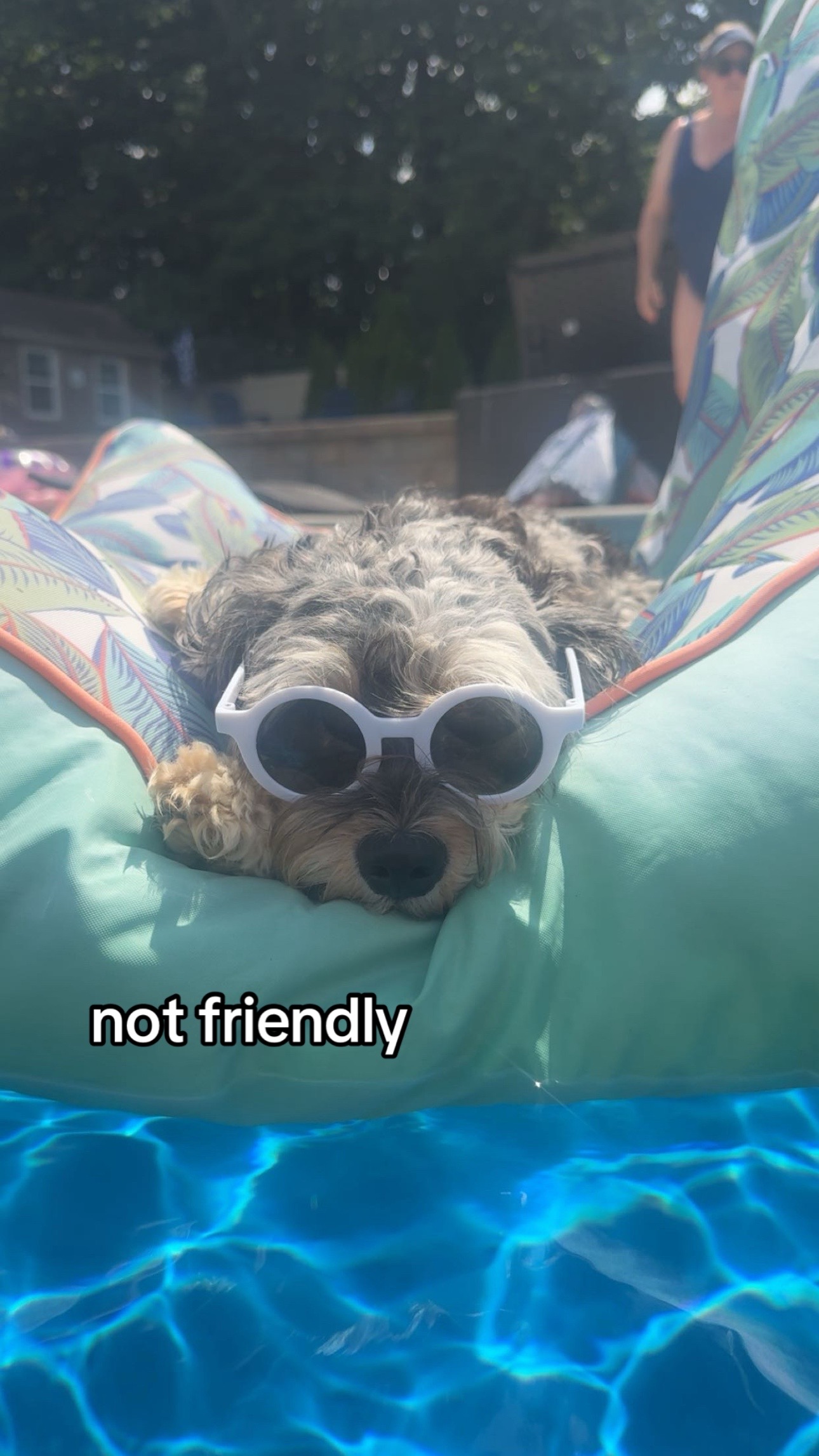 @Riley 🪼🧿🤍