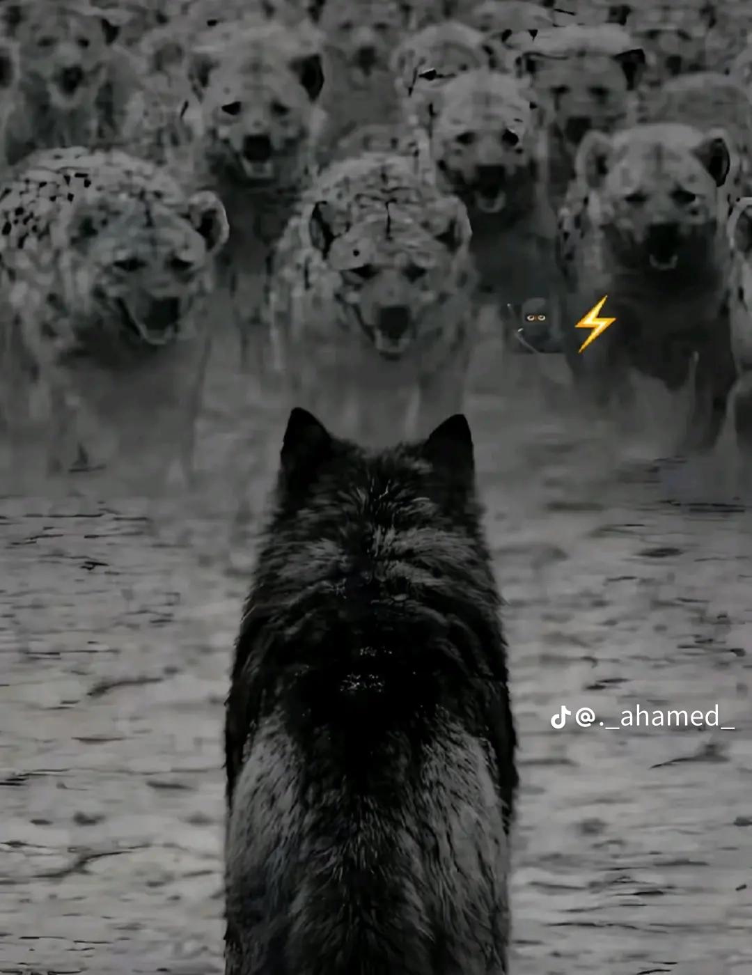 @انسار🪐