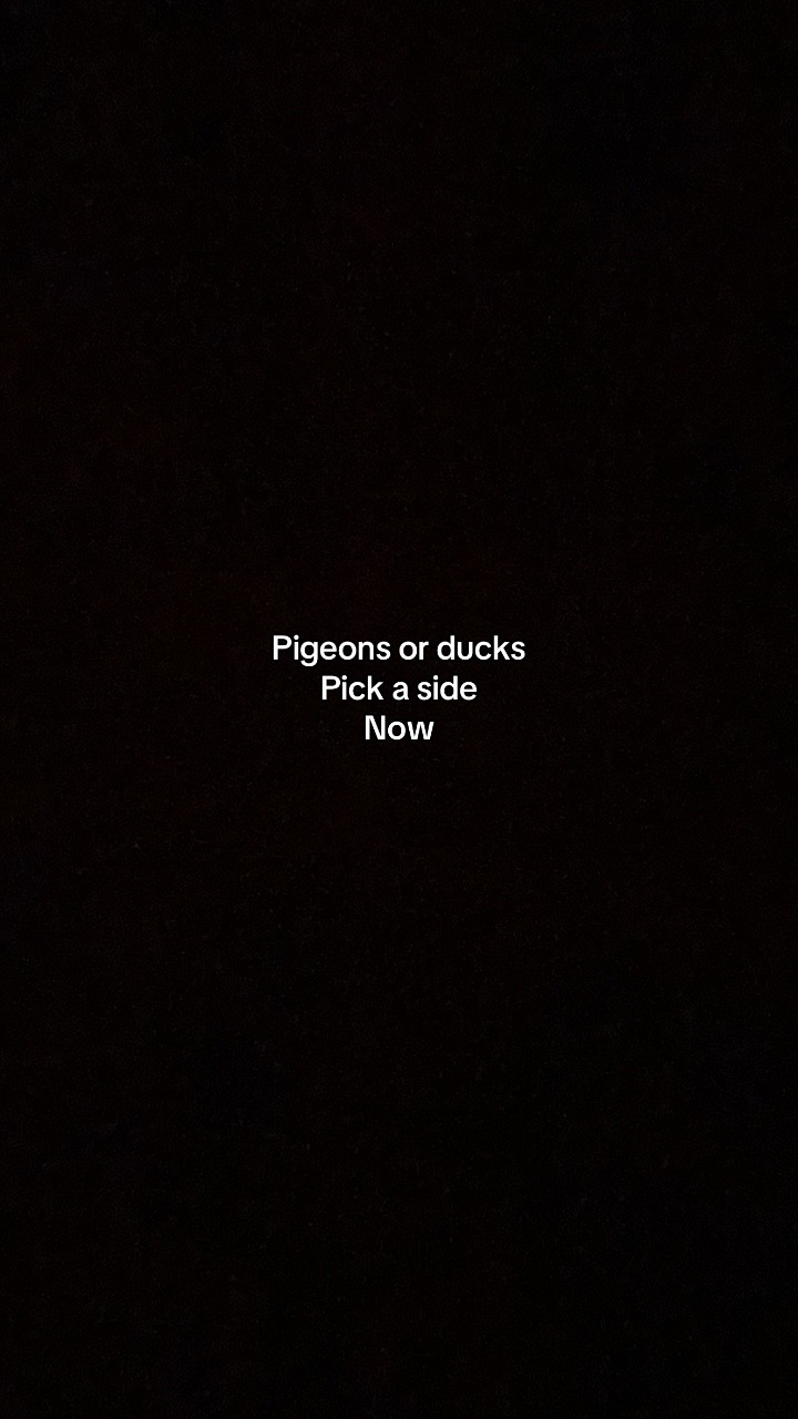 @Duck army