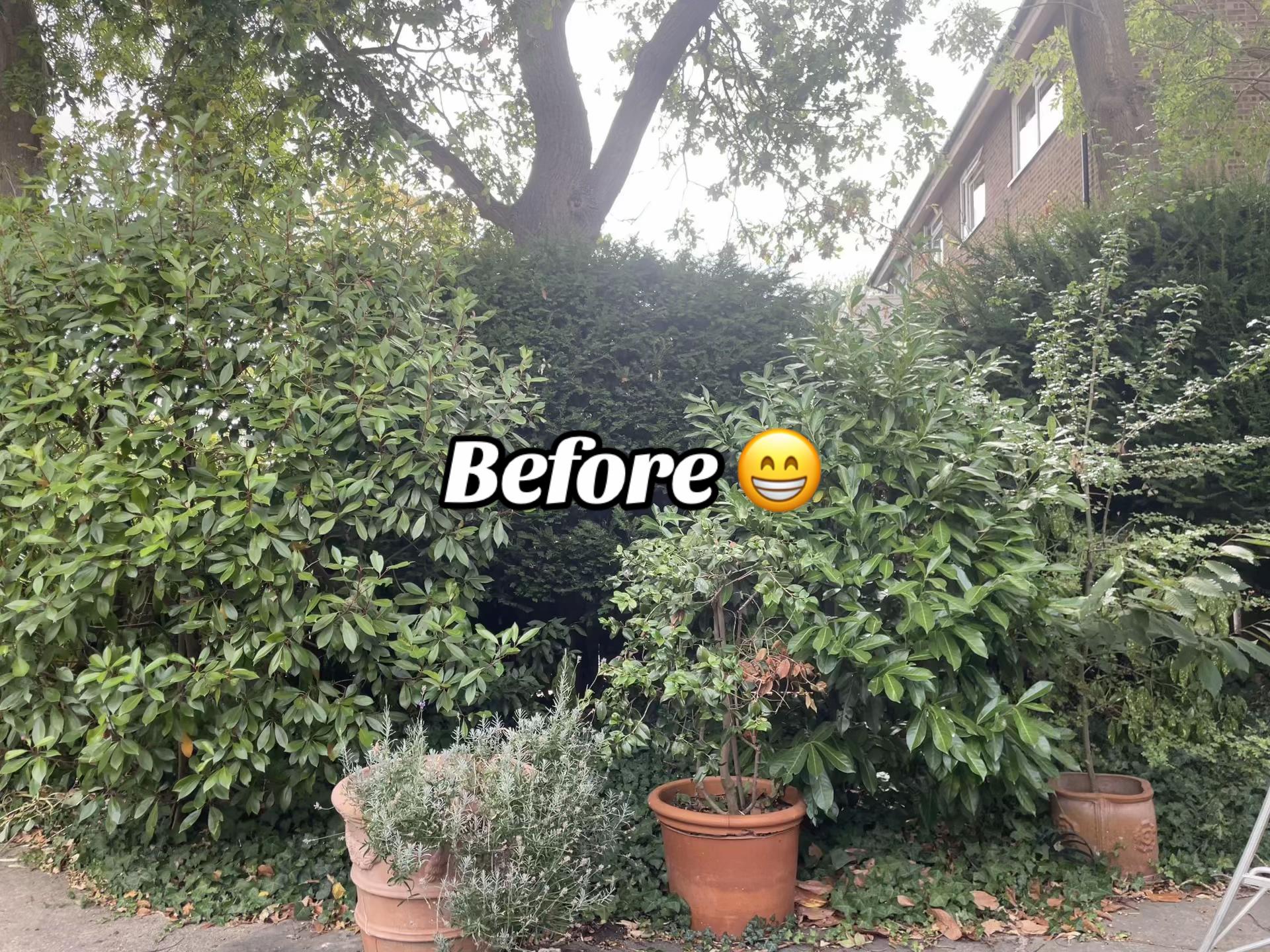 @carterslandscapes