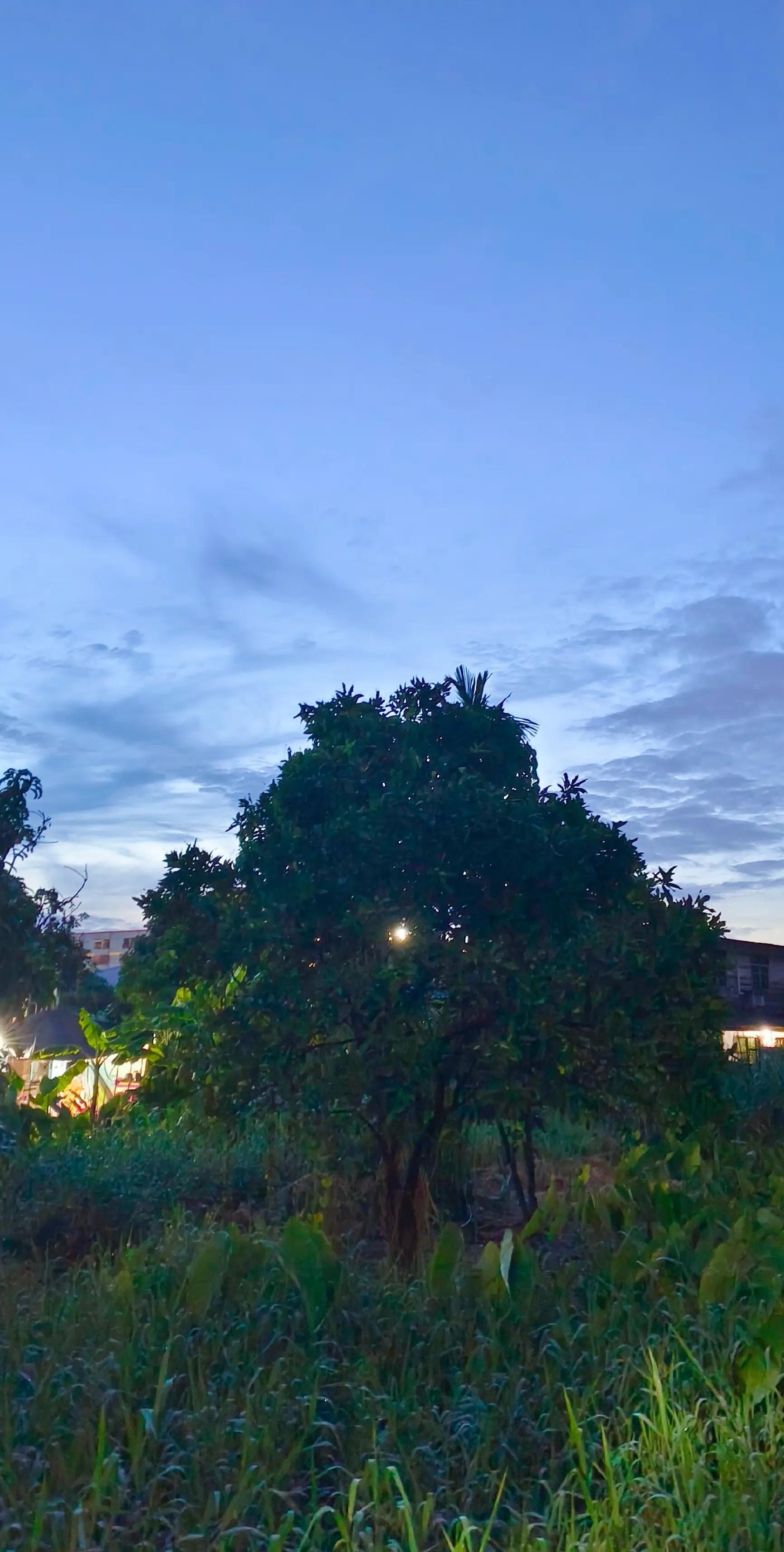 @วศ.JOJO