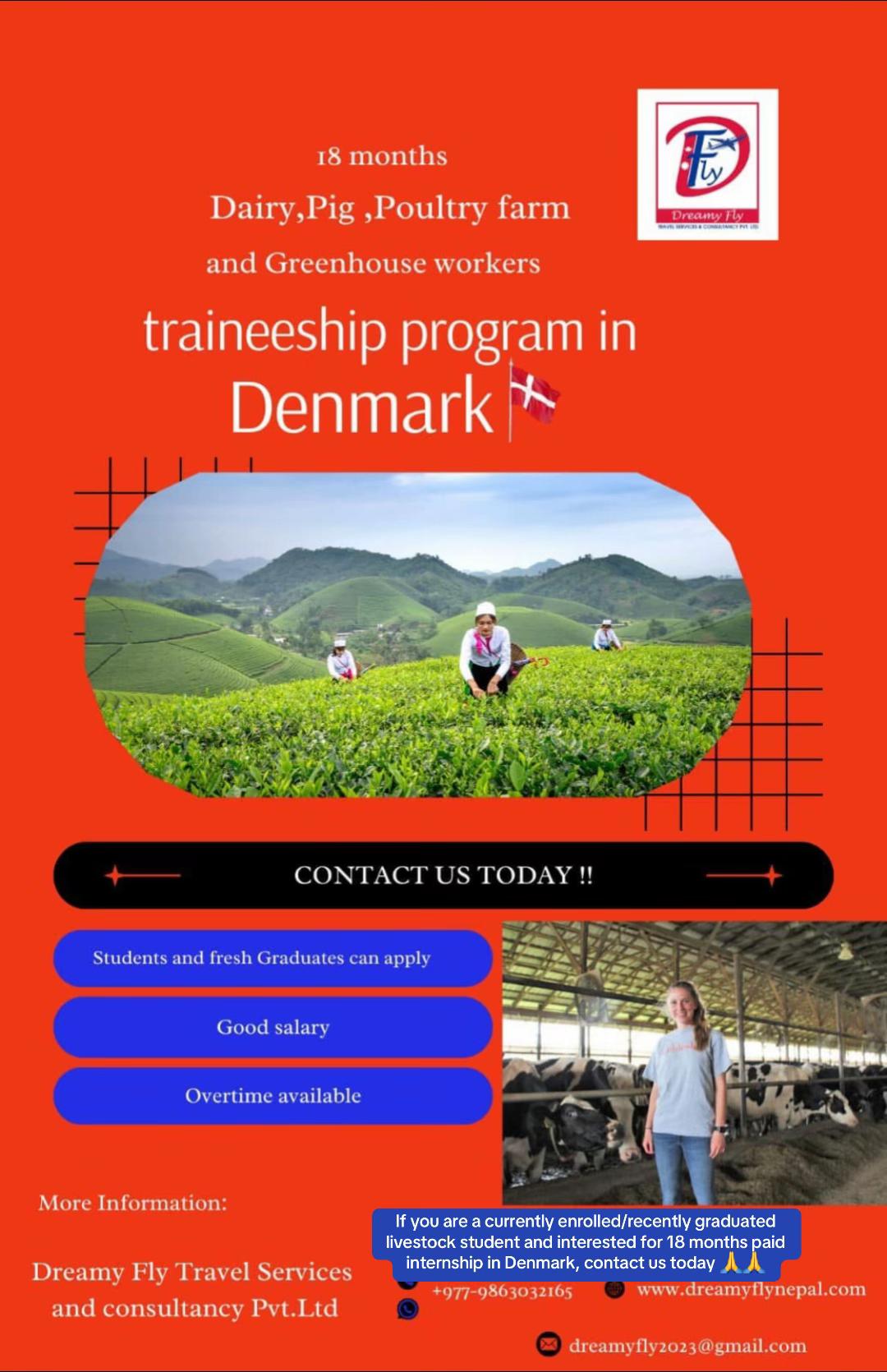 @Dreamy Fly visa services USA