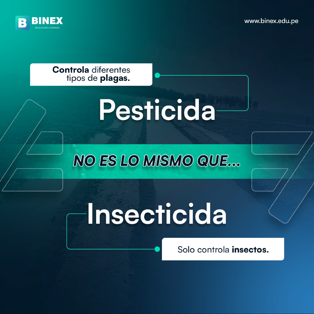 @BINEX Educación Continua